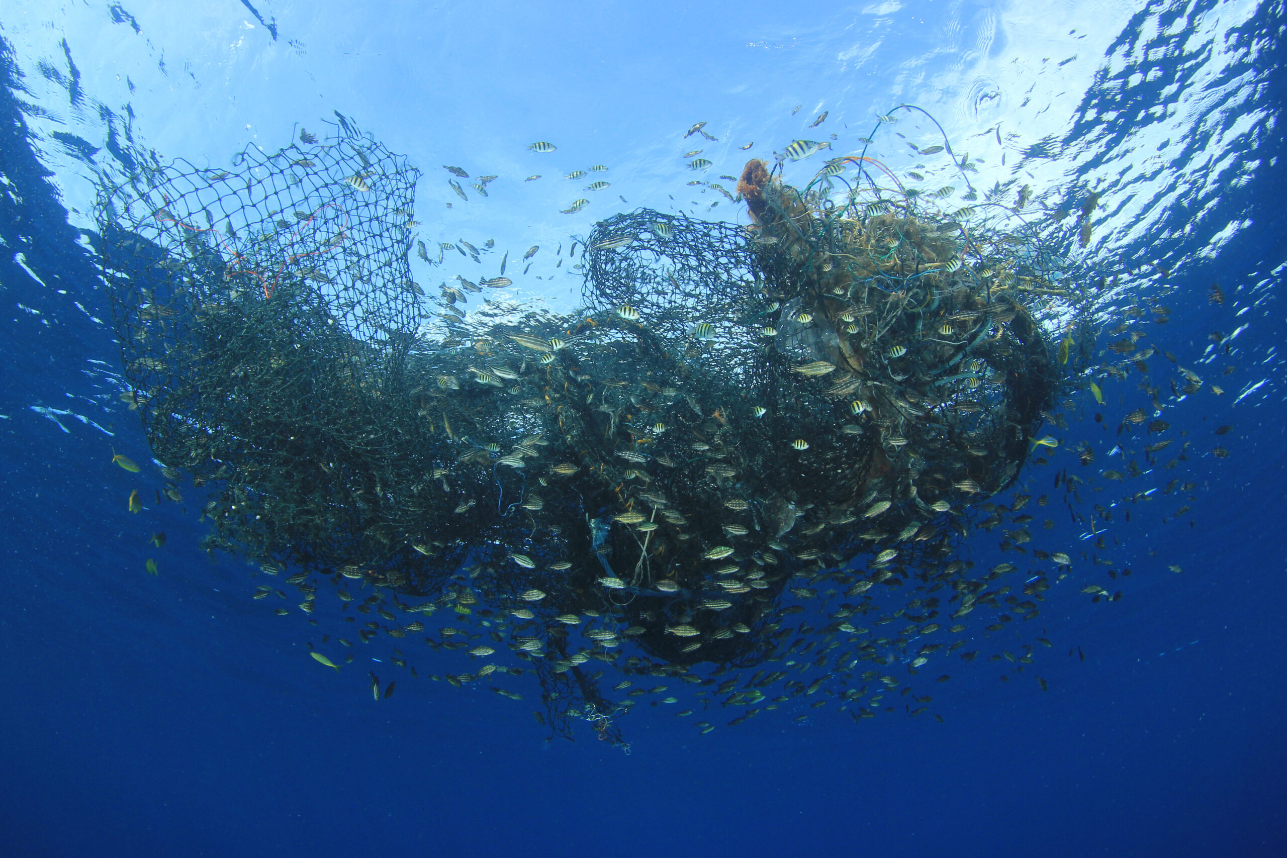 Geisternetz treibt im Meer